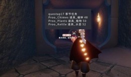 光遇新季节物品爆料视频,神秘物品揭秘，探寻未知领域
