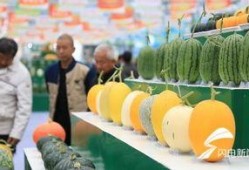 新瓜最新爆料潍坊,揭秘背后惊人真相