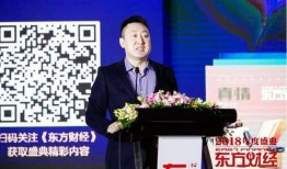 东方财经海氏爆料新闻最新,揭秘行业最新动态，深度解析市场走向