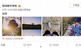 风景哥爆料作品视频下载,爆款视频背后的下载攻略