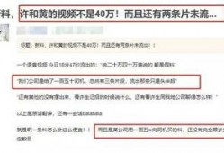 爆料视频曝光违法吗,揭秘网络监督的边界与责任