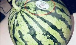 网红吃瓜藏族,藏族风情美食之旅