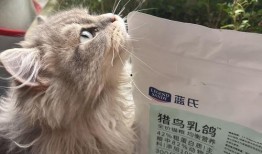 蓝氏猫粮爆料视频大全,视频大全深度解析