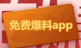 爆料新闻要收费吗,揭秘幕后真相与行业规则