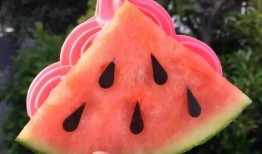 网红吃瓜藏族,藏族风情美食之旅