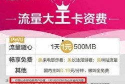 广州爆料大王视频大全下载,揭秘城市热点事件背后的真相