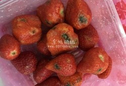 余姚早餐店爆料案件视频,视频揭露惊人真相