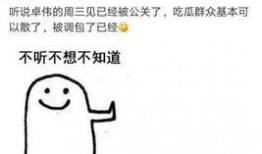 卓伟爆料怎么赚钱呢视频,揭秘视频背后的盈利之道