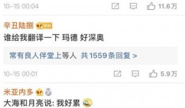 网红绯闻爆料视频播放网站,热门视频播放网站深度解析