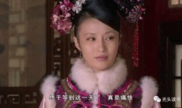 甄嬛传乐视网在线观看,重温宫廷传奇！